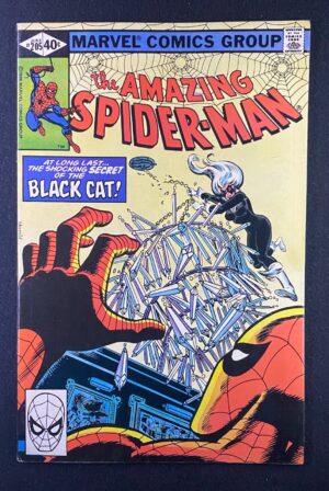 Amazing Spider-Man (1963) #205 FN/VF (7.0) Black Cat – Amazing Spider-Man #205 Comic Book Marvel Comics 1979 Spider-Man