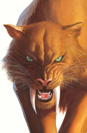 Black Cat (2025) #2 NM Alex Ross Timeless Virgin Variant Cover – Black Cat #1 Comic Book Marvel 2025 Spider-Man