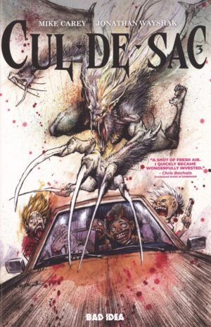 Cul-de-Sac (2025) #3 NM Jorge Fornes Cover Bad Idea – Far Down Below #2 Comic Book Image Comics 2025